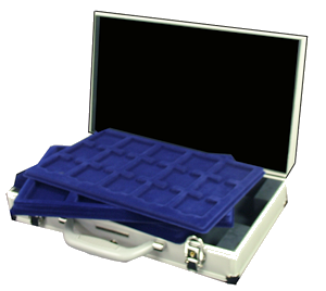 Silver Britannia Transparent.png